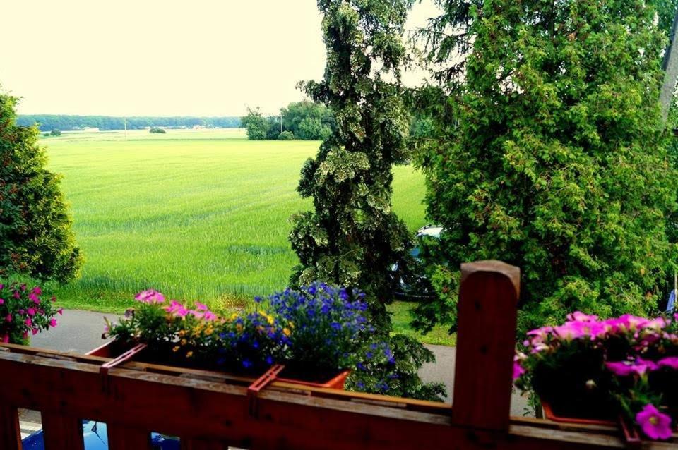 Agroturystyka U Willima Mechnica Luaran gambar