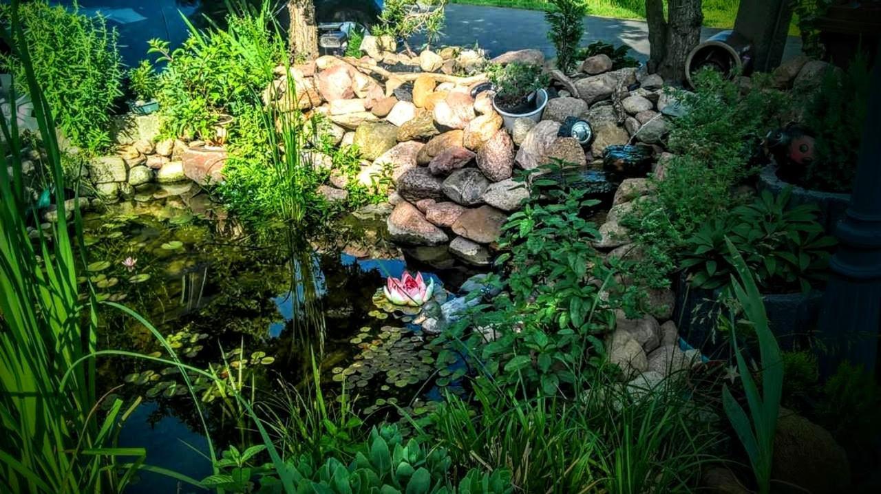 Agroturystyka U Willima Mechnica Luaran gambar