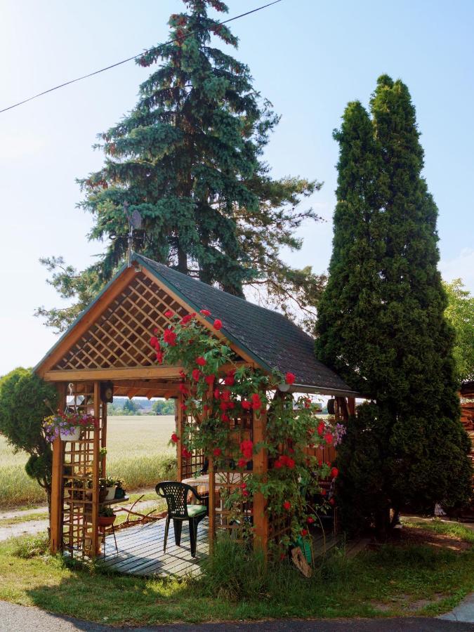 Agroturystyka U Willima Mechnica Luaran gambar